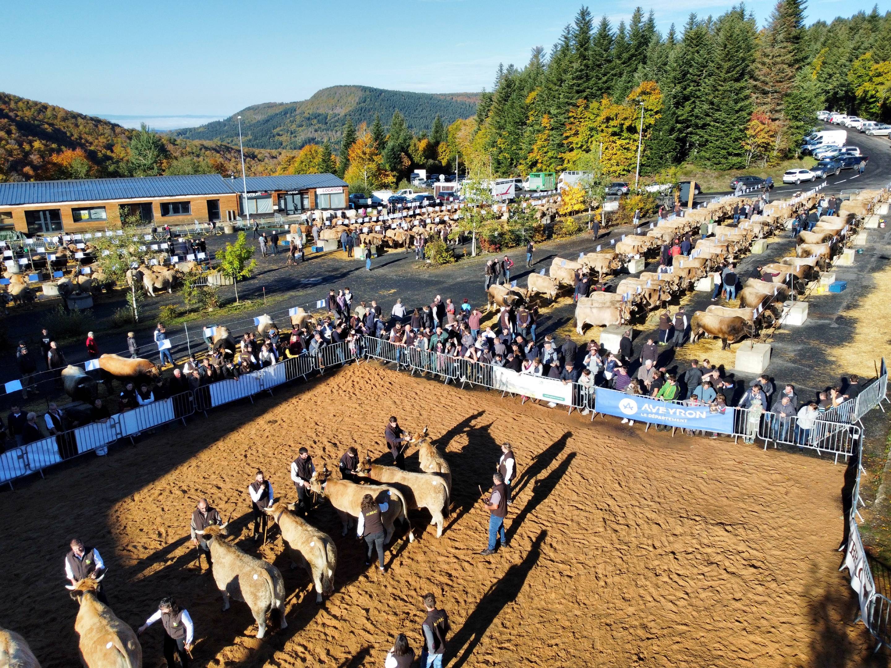 image valorisation immobilier